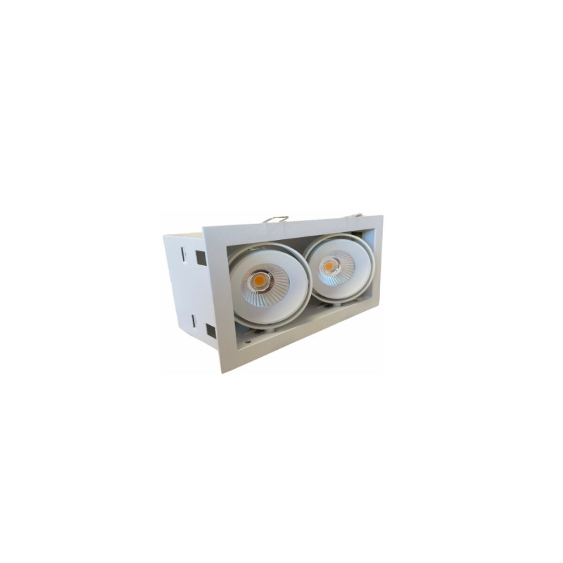 2x10W Iebūvējams, regulējams LED Gaismeklis AIP-DB10